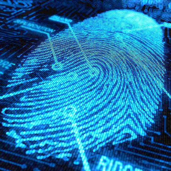 blue finger print – Crime Website